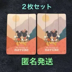 ディズニーストア　じゃんけんカード　軽井沢