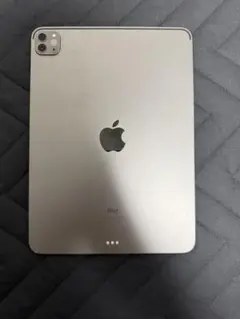 値下げ対応❗️ Apple シルバー 本体　iPad Pro 11インチ 第3世代 iPad Pro 11 第3世代 256GB シルバー MHQV3J／A Wi-Fi シルバー MHQV3J