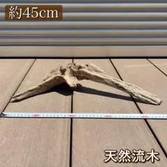 【一点物】天然流木｜アク抜き・天日干し済｜アクアリウムや爬虫類の登り木に