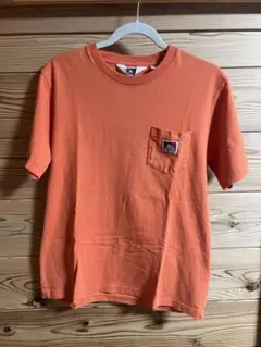 BEN DAVIS tシャツ
