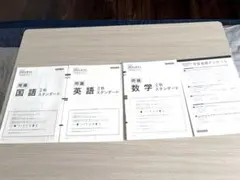 スタディサプリ 2024年度 II秋 スタンダード 国語 英語 数学のサムネイル