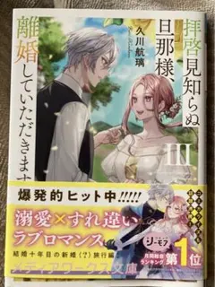 拝啓見知らぬ旦那様、離婚していただきます 3 Ⅲ 久川航璃