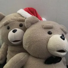 ２匹セット ted2 テッド ぬいぐるみ XL タグ付き くま テディベア 熊