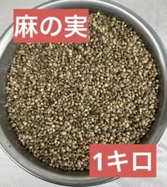 Item thumbnail for item c13c1702-8d86-462d-b31a-d4c45ff0581d