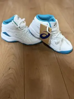 Item thumbnail for item 9db0f51e-f65a-40eb-bd3a-4d20cd65c616