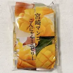 宮崎マンゴー こんにゃくミニゼリー　500g パウチタイプ　こんにゃくパークのサムネイル