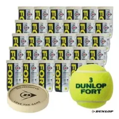 DUNLOP FORT テニスボール 開封品 まとめ売り 22缶 88個 - メルカリ