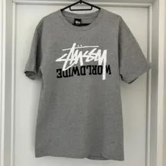STUSSY Tシャツ　Msize