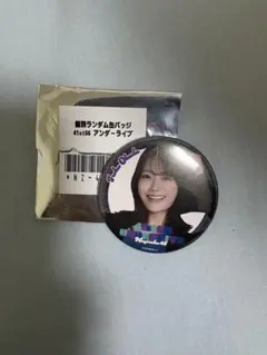 Item thumbnail for item 57f2c7ca-639b-494b-bdd9-d8ed6c64c130