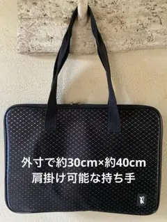 クッション付き黒いPCケース　Sphynx