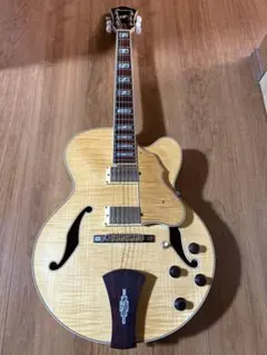 2026年最新】Ibanez AF105の人気アイテム - メルカリ