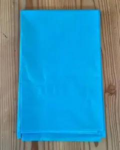 Item thumbnail for item 59a56705-9c87-468a-aa00-a1509b7bac4c