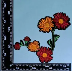 Item thumbnail for item 3edd6a7f-5cbc-4c19-b1f7-1dba4ebea96a