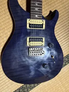 即発送 PRS SE custom グリーンカラー 弦張り替え済み - メルカリ