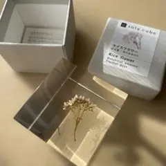 ウサギノネドコ　ソラキューブ　sola cube　ライスフラワー