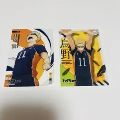 ハイキュー!!　月島蛍 カードセット