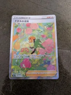 2025年最新】ナタネの活気 sarの人気アイテム - メルカリ