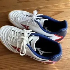 【24.0】Mizuno Monarcida Neo フットサルシューズ