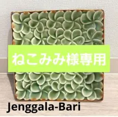 ジャンガラケラミック　Jenggala BARI島　プルメリア　アジアン雑貨のサムネイル