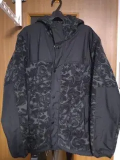 2025年最新】ノースフェイス ペイズリーの人気アイテム - メルカリ