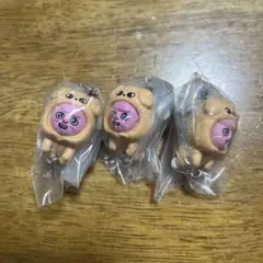 スキズ ガチャ つまつな チャンビン トゥエッキ パピーム