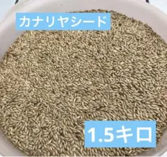 Item thumbnail for item 1413a0ee-3e7b-4ea0-816f-ca1beb993f1f