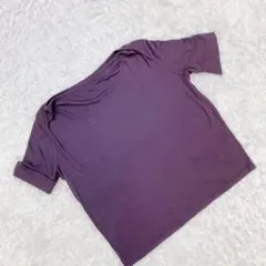 オールドイングランド 半袖 Tシャツ トップス ブラウン 36 S タグ付きのサムネイル