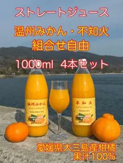 【組合せ自由】4本セット ストレートジュース 温州みかん 不知火 果汁100%