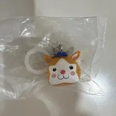 プロ野球マスコット めじるしアクセサリー