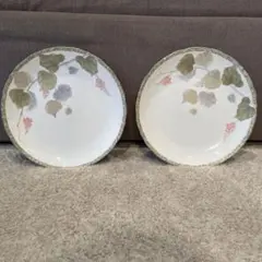 Noritake 23cm 大皿 2枚セットのサムネイル