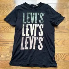 Item thumbnail for item eb81ecc1-ab79-480b-a601-04457de98af4