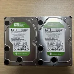 Junk Western Digital WD10EADS 1TB × 2台