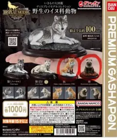 Item thumbnail for item 42ea799d-3987-4c81-b641-e54d43117403