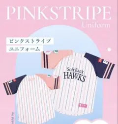【新品送料込】福岡ソフトバンクホークス ピンクフルデー2026ユニフォーム