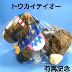 【新品】トウカイテイオーぬいぐるみウマ娘アイドルホース競馬馬AVANTI有馬記念 トウカイテイオー アイドルホース 競馬 ぬいぐるみ AVANTI ウマ娘 新品