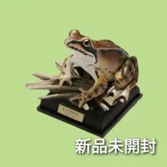 Item thumbnail for item 87b3effe-8d59-4a36-8a4d-f1eb14d107c7