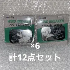 WINDBREAKER メタリック缶バッジ 梶蓮