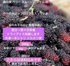 冷凍 桑の実 500g 550g ドライアイス付きで冷凍のサムネイル