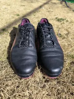 Item thumbnail for item 6eb6d96d-be23-4835-bc39-6c5e9695f7d2