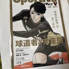 2026年最新】sportiva ハイキュー ビジュアルボードの人気アイテム