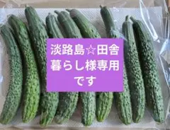 【淡路島☆田舎暮らし様専用です】シャキットきゅうりのサムネイル