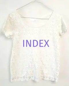 INDEX レディース　カットソー　Tシャツ　レース模様　アイボリー　白　日本製のサムネイル