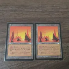 不毛の大地 日本語 2枚セット MTG 初版 TMP - メルカリ