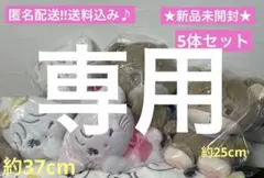 BUYEE公式アカウント04 様専用 mikko characters おねんね