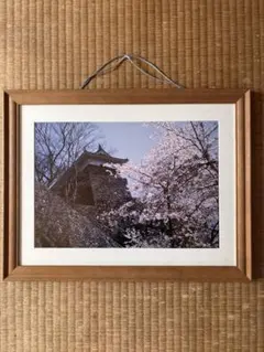 Item thumbnail for item ce6169b8-617d-4b39-bbc6-91f8038d74e8