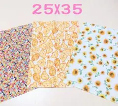 ランチョンマット　３枚セット