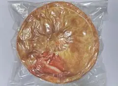 ケンタッキー 福袋2026 ビスケット型 お昼寝枕　クッション