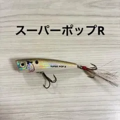 2025年最新】レーベル ポップrの人気アイテム - メルカリ