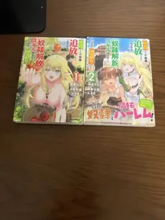 壁役など不要と追放されたS級冒険者、《奴隷解放》スキルを駆使して史上最強の国造り