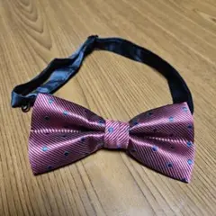 Item thumbnail for item 8a12efa4-cff1-4c94-aee0-b4d32cb41c93